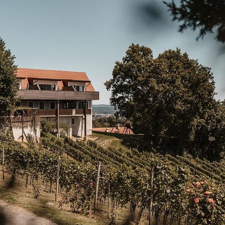 Weingut Assigal Villa Leibnitz Eksteriør billede