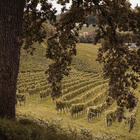 Weingut Assigal Villa Leibnitz Eksteriør billede