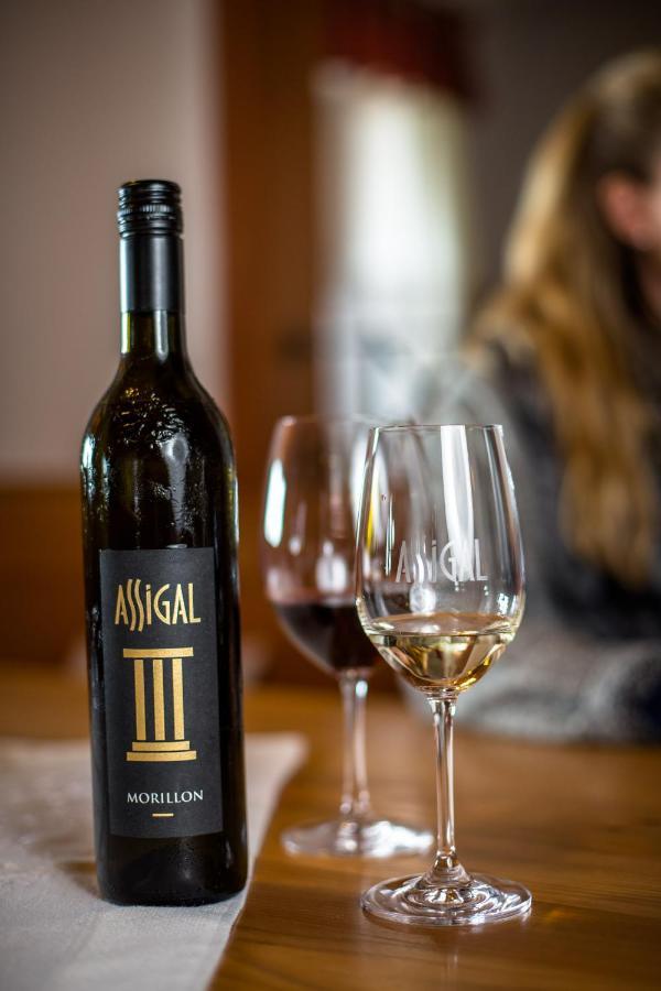 Weingut Assigal Villa Leibnitz Eksteriør billede