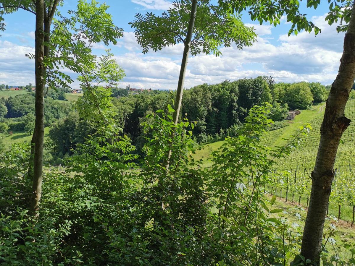 Weingut Assigal Villa Leibnitz Eksteriør billede
