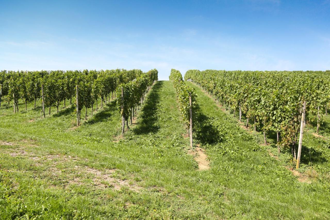 Weingut Assigal Villa Leibnitz Eksteriør billede